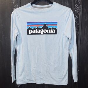 Patagonia Light Blue Long Sleeve with Mountain Logo